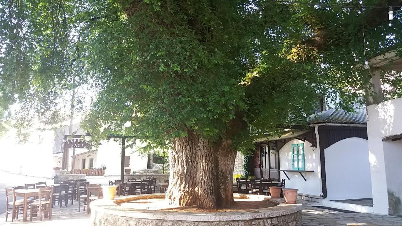 Elm Tree Dream Catcher Strinilas Εξωτερικό φωτογραφία